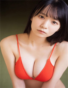 狼2019