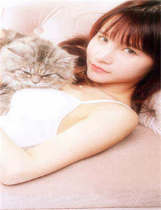 欧美13、14v